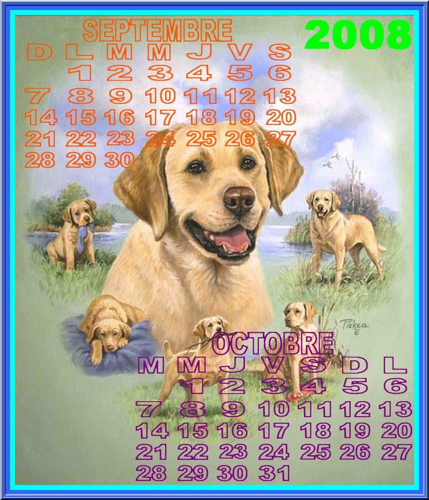 CALENDRIERS SEPTEMBRE OCTOBRE 2008